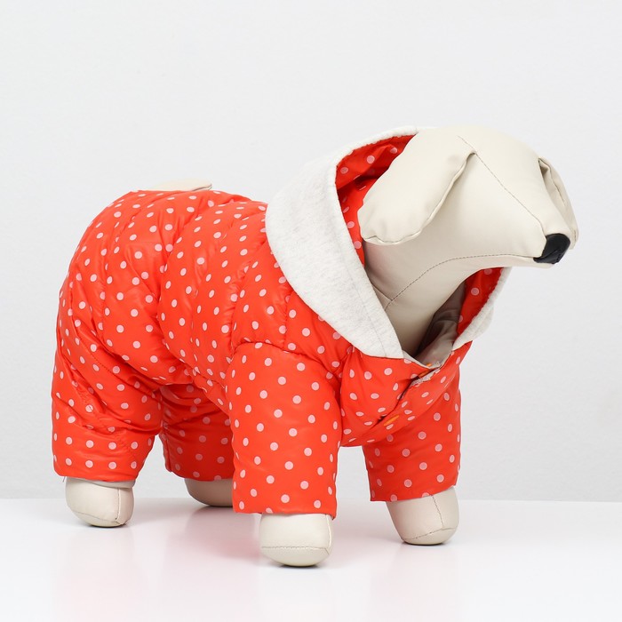 Комбинезон «Для прогулки», размер 16, ДС 36 см, ОГ 46 см, ОШ 35 см, оранжевый - Фото 1