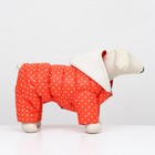 Комбинезон «Для прогулки», размер 16, ДС 36 см, ОГ 46 см, ОШ 35 см, оранжевый - Фото 2