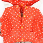 Комбинезон «Для прогулки», размер 16, ДС 36 см, ОГ 46 см, ОШ 35 см, оранжевый - Фото 11