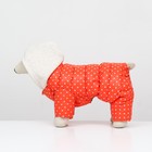 Комбинезон «Для прогулки», размер 16, ДС 36 см, ОГ 46 см, ОШ 35 см, оранжевый - Фото 4