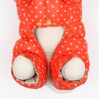 Комбинезон «Для прогулки», размер 16, ДС 36 см, ОГ 46 см, ОШ 35 см, оранжевый - Фото 8