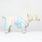 Комбинезон «Для прогулки», размер 18, ДС 40 см, ОГ 50 см, ОШ 38 см, пастельный - Фото 2