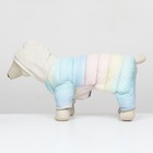 Комбинезон «Для прогулки», размер 18, ДС 40 см, ОГ 50 см, ОШ 38 см, пастельный - Фото 4