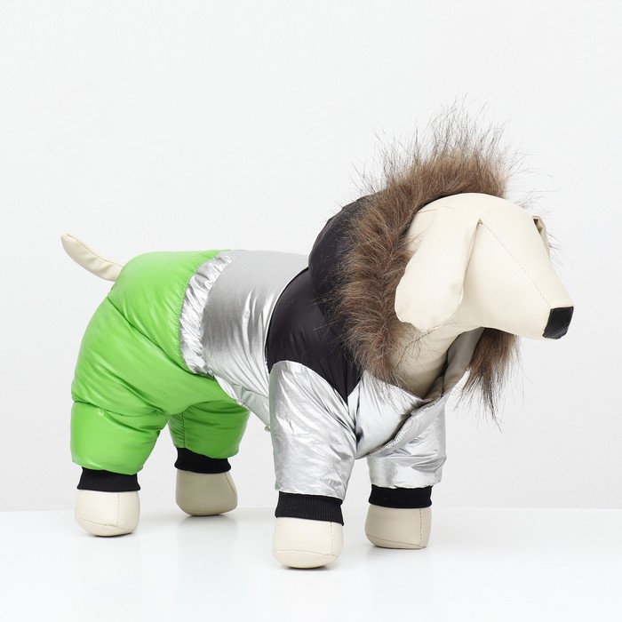 Комбинезон «Пушок», размер 10, ДС 25 см, ОГ 34 см, ОШ 24 см, зелёный - Фото 1