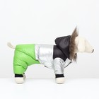 Комбинезон «Пушок», размер 12, ДС 28 см, ОГ 38 см, ОШ 27 см, зелёный - Фото 2