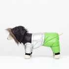 Комбинезон «Пушок», размер 12, ДС 28 см, ОГ 38 см, ОШ 27 см, зелёный - Фото 4