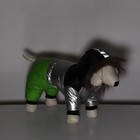 Комбинезон «Пушок», размер 14, ДС 32 см, ОГ 42 см, ОШ 31 см, зелёный - Фото 13