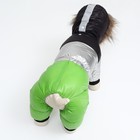 Комбинезон «Пушок», размер 14, ДС 32 см, ОГ 42 см, ОШ 31 см, зелёный - Фото 5