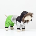 Комбинезон «Пушок», размер 16, ДС 36 см, ОГ 46 см, ОШ 35 см, зелёный - Фото 3