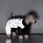 Комбинезон "Ультра" светоотражающий, размер 12 (ДС 24 см, ОГ 38 см, ОШ 27 см), чёрный - фото 24257432