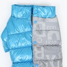 Комбинезон "Ультра" светоотражающий, размер 12 (ДС 24 см, ОГ 38 см, ОШ 27 см),  голубой - фото 24257450