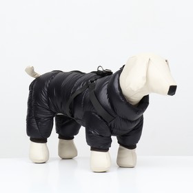 Комбинезон для собак  со шлейкой "Моден",  размер 8 (ДС 23, ОГ 30, ОШ 22 см), чёрный