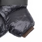 Комбинезон для собак со шлейкой «Моден», размер 8 (ДС 23, ОГ 30, ОШ 22 см), чёрный - Фото 10