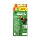 Карандаши цветные Мульти-Пульти «Чебурашка», 12 цветов, заточенные, картон, европодвес - Фото 4