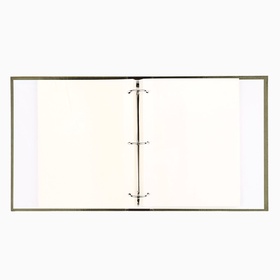 Фотоальбом магнитный на 200 фото, 50 листов «Семья», 29×24 см