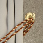 Крючок однорожковый для штор CAPPIO KC112, цвет золото, 2 шт - фото 10915336