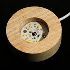 Светильник "Сова", диам. 6 см - фото 24457971