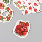 Наклейки для творчества "Клубничка" набор 46 шт 6,4х4,4х1,1 см - фото 22708402