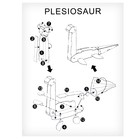 Набор для творчества создние 3D фигурки «Плезиозавр» - Фото 6