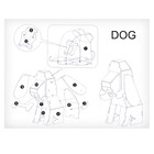Набор для творчества создние 3D фигурки «Собака» - фото 4095271