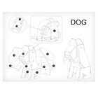 Набор для творчества создние 3D фигурки «Собака» - Фото 6