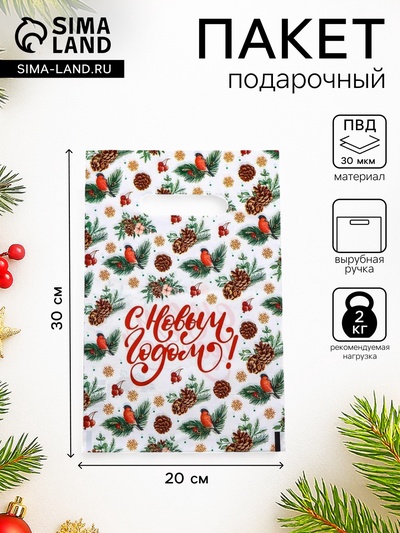 Пакет полиэтиленовый с вырубной ручкой "С Новым годом, снегири", 20×30 см
