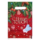 Пакет новогодний полиэтиленовый с вырубной ручкой «Вот и снова Новый Год», 20×30 см - Фото 2