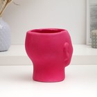 Фигурное кашпо "Голова девушки" розовое, 16х14х16см - фото 22793622