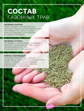 Газон "Красотень", Каракум (Засухоустойчивый), 0,5 кг