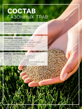 Газонная травосмесь «Красотень», Каракум, засухоустойчивый, 5 кг