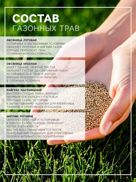 Газонная травосмесь«Красотень», Ленивый, 0.5 кг