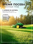 Газонная травосмесь«Красотень», Ленивый, 0.5 кг - Фото 3