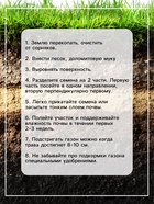 Газонная травосмесь«Красотень», Ленивый, 0.5 кг - Фото 6