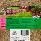 Газонная травосмесь«Красотень», Ленивый, 0.5 кг - Фото 8