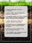 Газонная травосмесь «Красотень», Ленивый, 20 кг - Фото 6