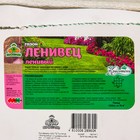 Газон "Красотень", Ленивый, 5 кг - Фото 2