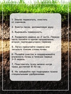 Газонная травосмесь «Красотень», Морозко, 0.5 кг - Фото 6