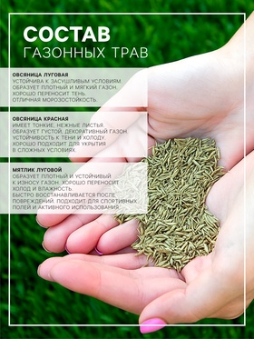 Газон «Красотень», Морозко, 25 кг