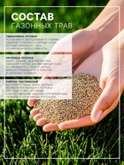 Газонная травосмесь«Красотень», Спринтер, 0.5 кг - Фото 2