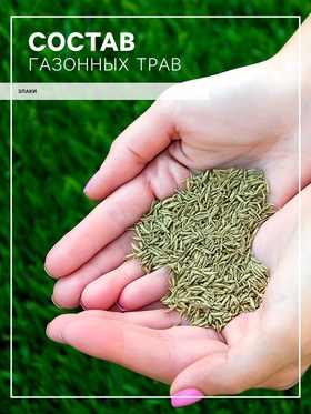 Газон «Красотень», травосмесь, Эконом, 25 кг