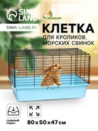 Бирюзовая