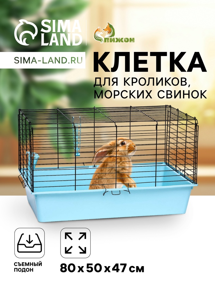 Клетка для кроликов, морских свинок «Пижон» №4 складная, 80×50×47 см, бирюзовая - Фото 1