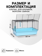Клетка для кроликов, морских свинок «Пижон» №4 складная, 80×50×47 см, бирюзовая - Фото 2