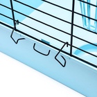 Клетка для кроликов, морских свинок «Пижон» №4 складная, 80×50×47 см, бирюзовая - Фото 5