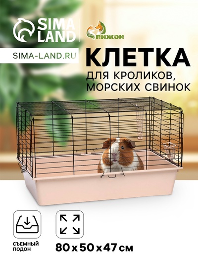 Клетка для кроликов, морских свинок «Пижон» №4 складная, 80×50×47 см, бежевая