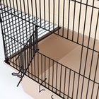Клетка для шиншилл "Пижон" №11, складная, 80 х 50 х 46см, бежевая - Фото 5