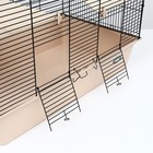 Клетка для шиншилл "Пижон" №11, складная, 80 х 50 х 46см, бежевая - Фото 6