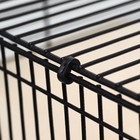 Клетка для шиншилл "Пижон" №11, складная, 80 х 50 х 46см, бежевая - Фото 8