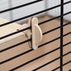 Клетка для шиншилл "Пижон" №11, складная, 80 х 50 х 46см, бежевая - Фото 9