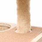 Комплекс для кошек с когтеточкой, с домиком, 58 х 54 х 87см, ЛДСП, цвет сонома - фото 9399009